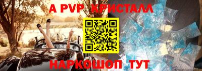 стафф Абакан